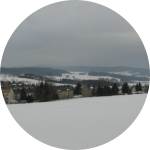 Kolumne 2020 12
